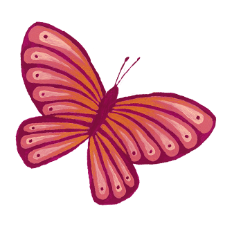 Shop Butterfly Image