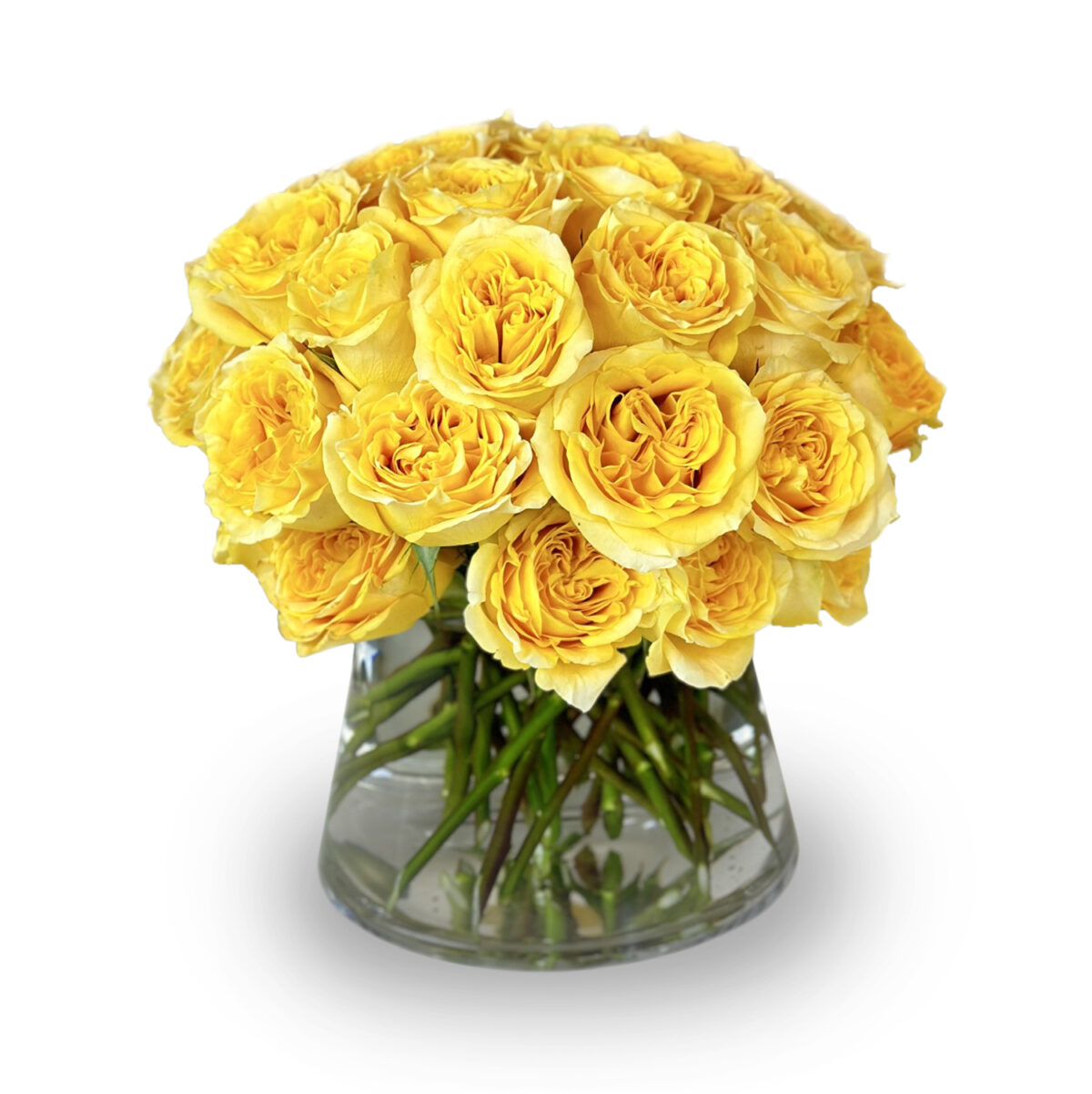 Mark's Garden - Yellow Rose Bowl