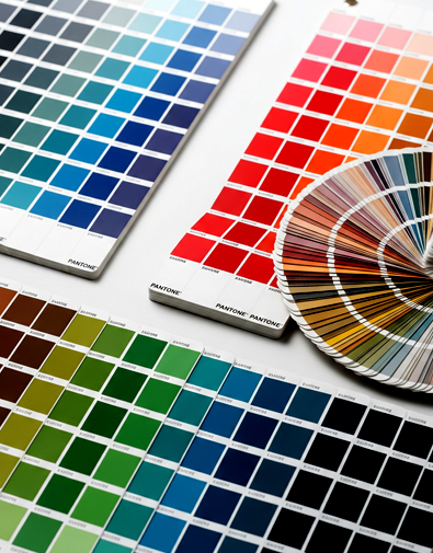 https://fnpfleur.com/wp-content/uploads/2025/05/Color-consultaion.jpg