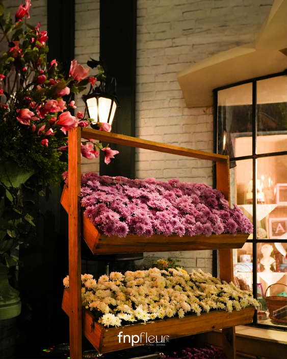 Fnp Fleur gallery