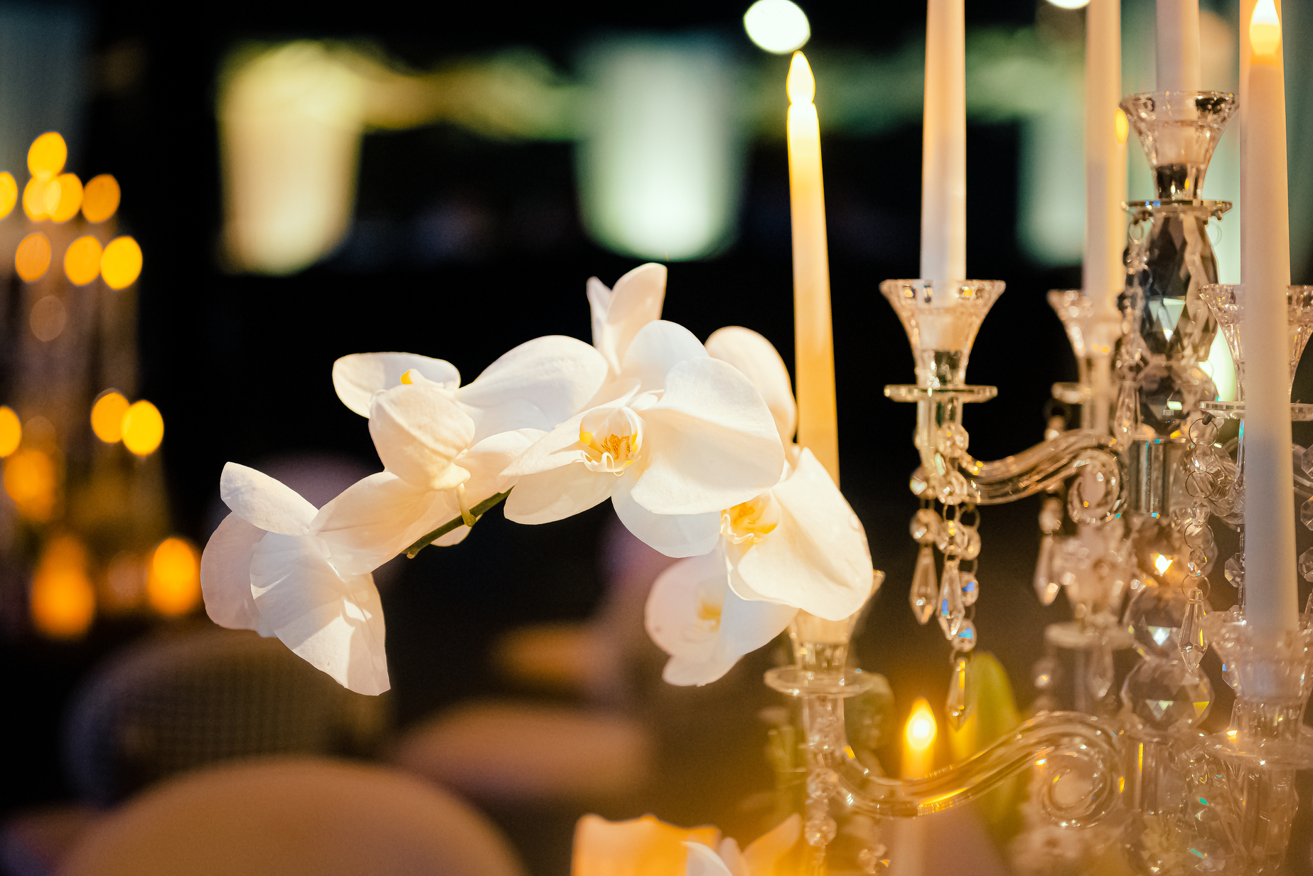 top wedding decor in udaipur